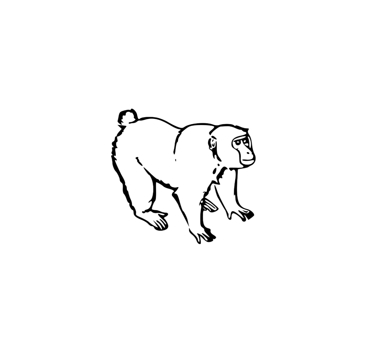 Affe →