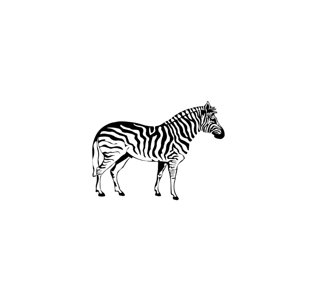Zebra →