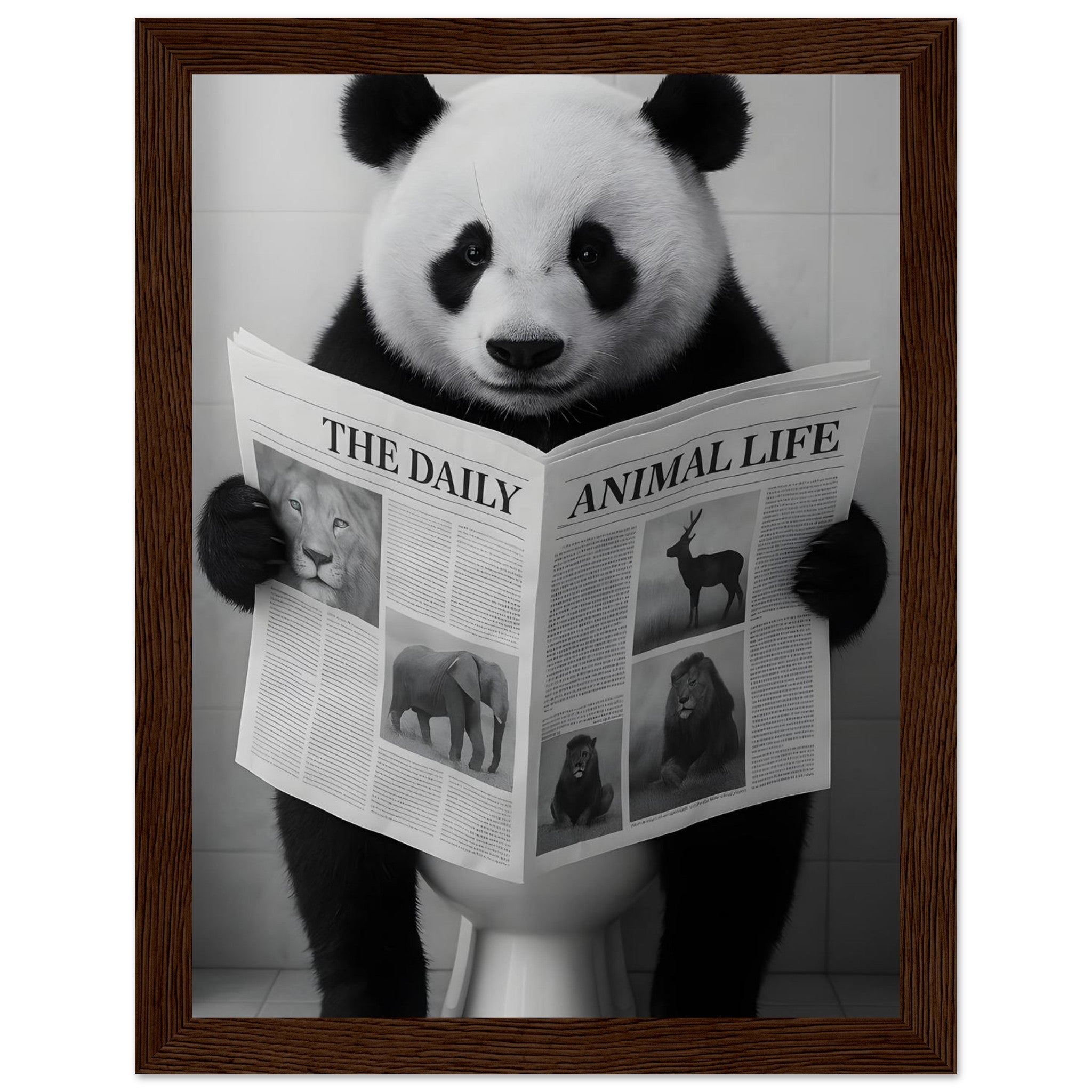 01965e11-c323-42b3-8fae-dbe10ef0e527