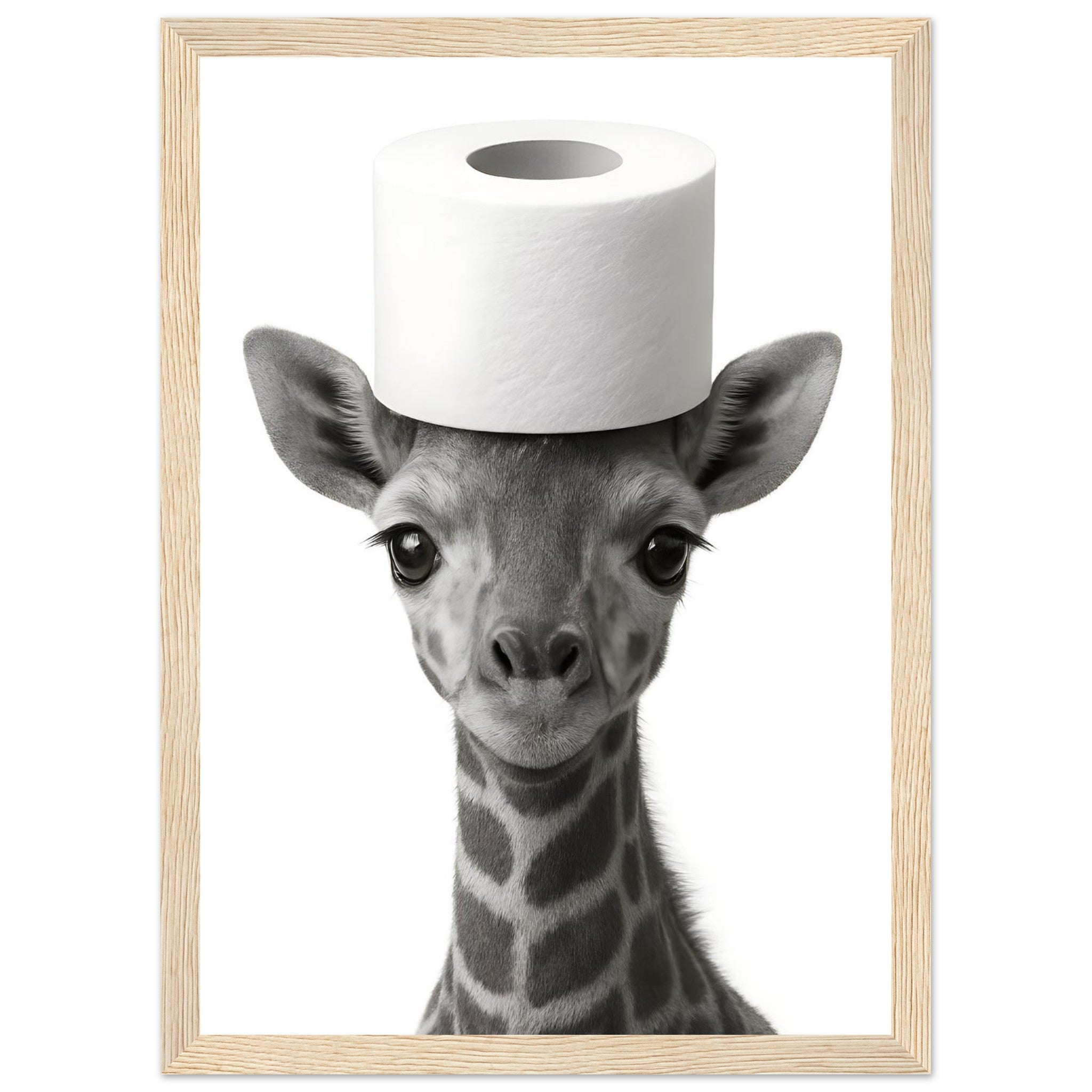 01fb938e-bb71-4f2c-94f3-58ab0dbc4697