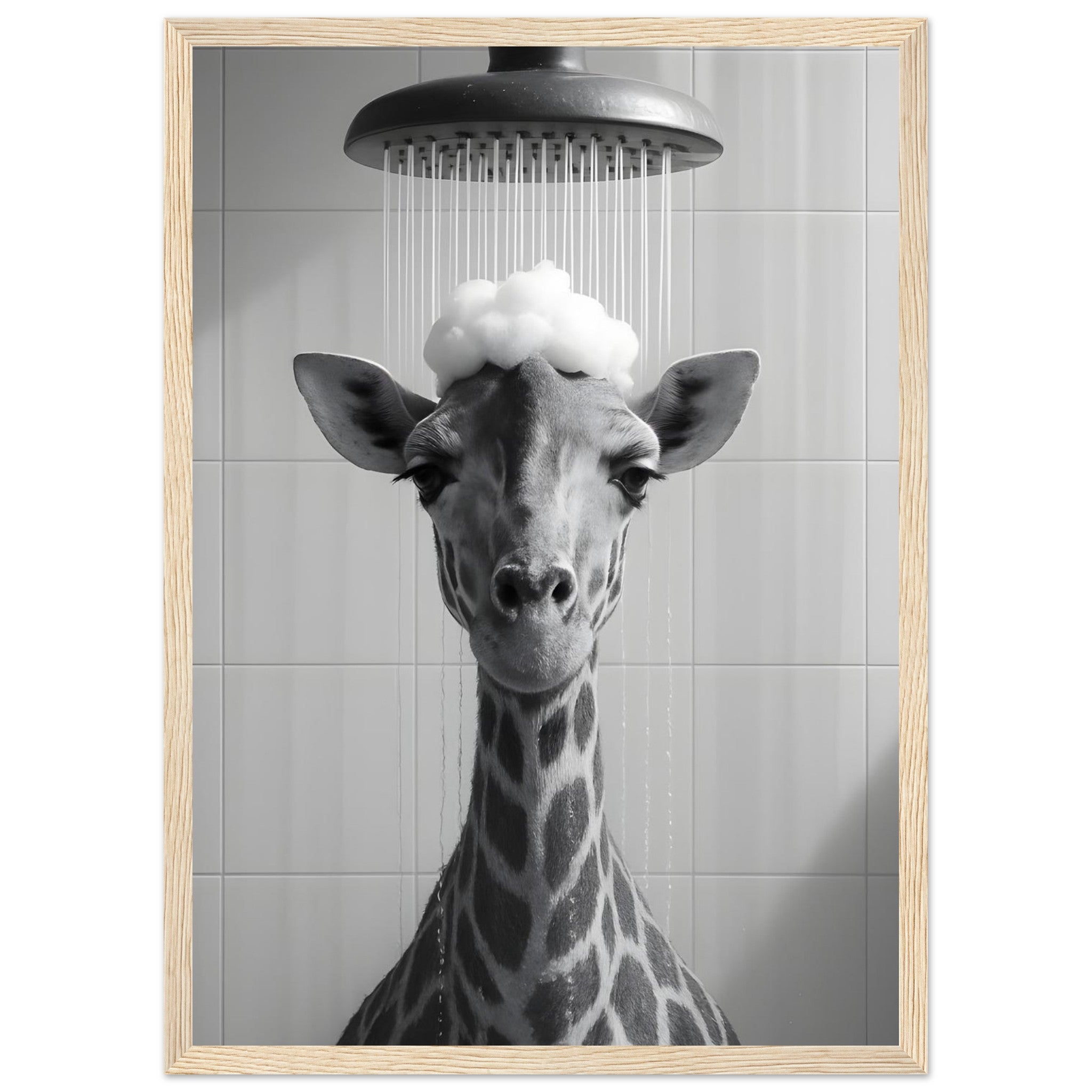 24603dbd-bd75-4e93-8ede-a91402b5ca29