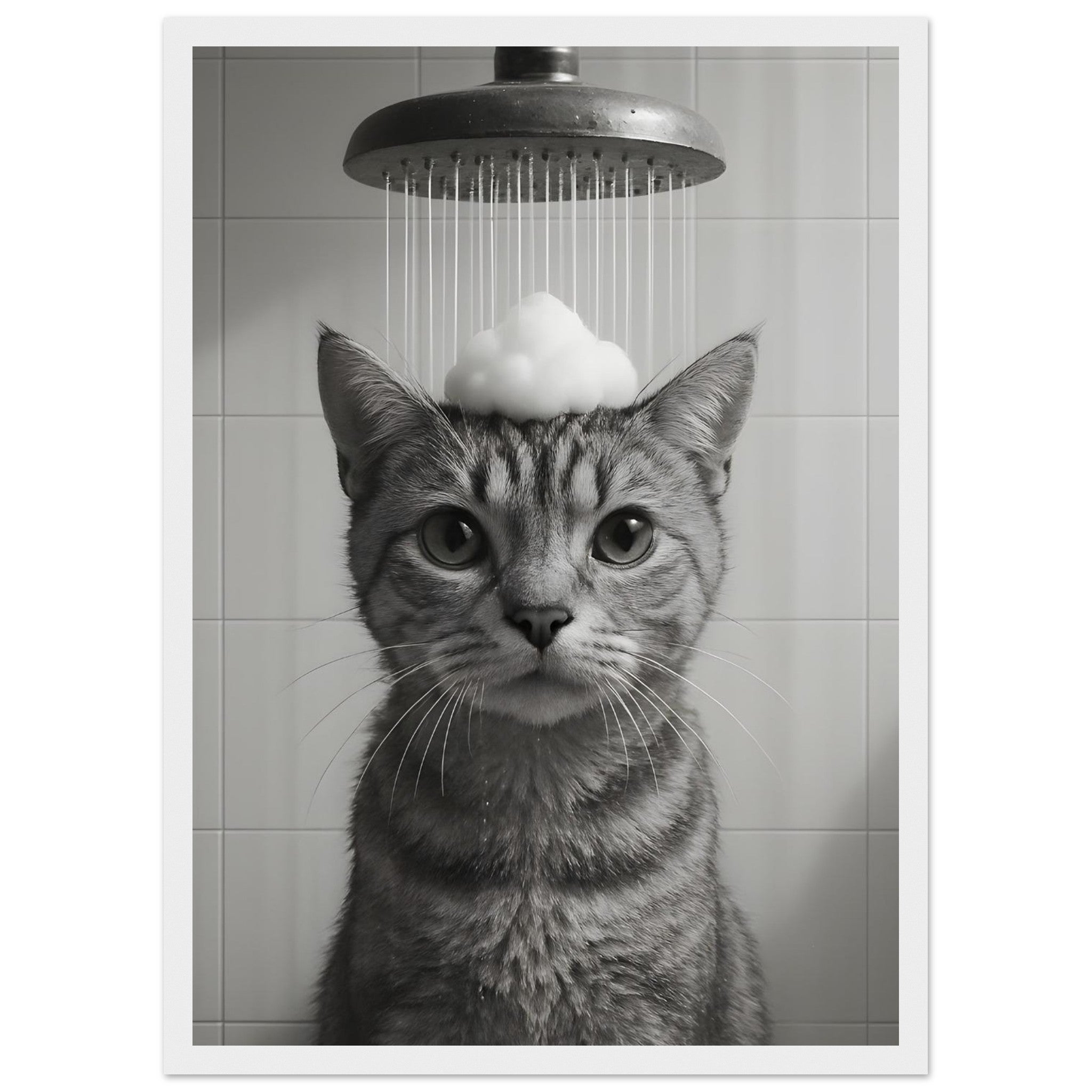 2b6b2aa5-6ec3-4728-aad9-1881233f7105