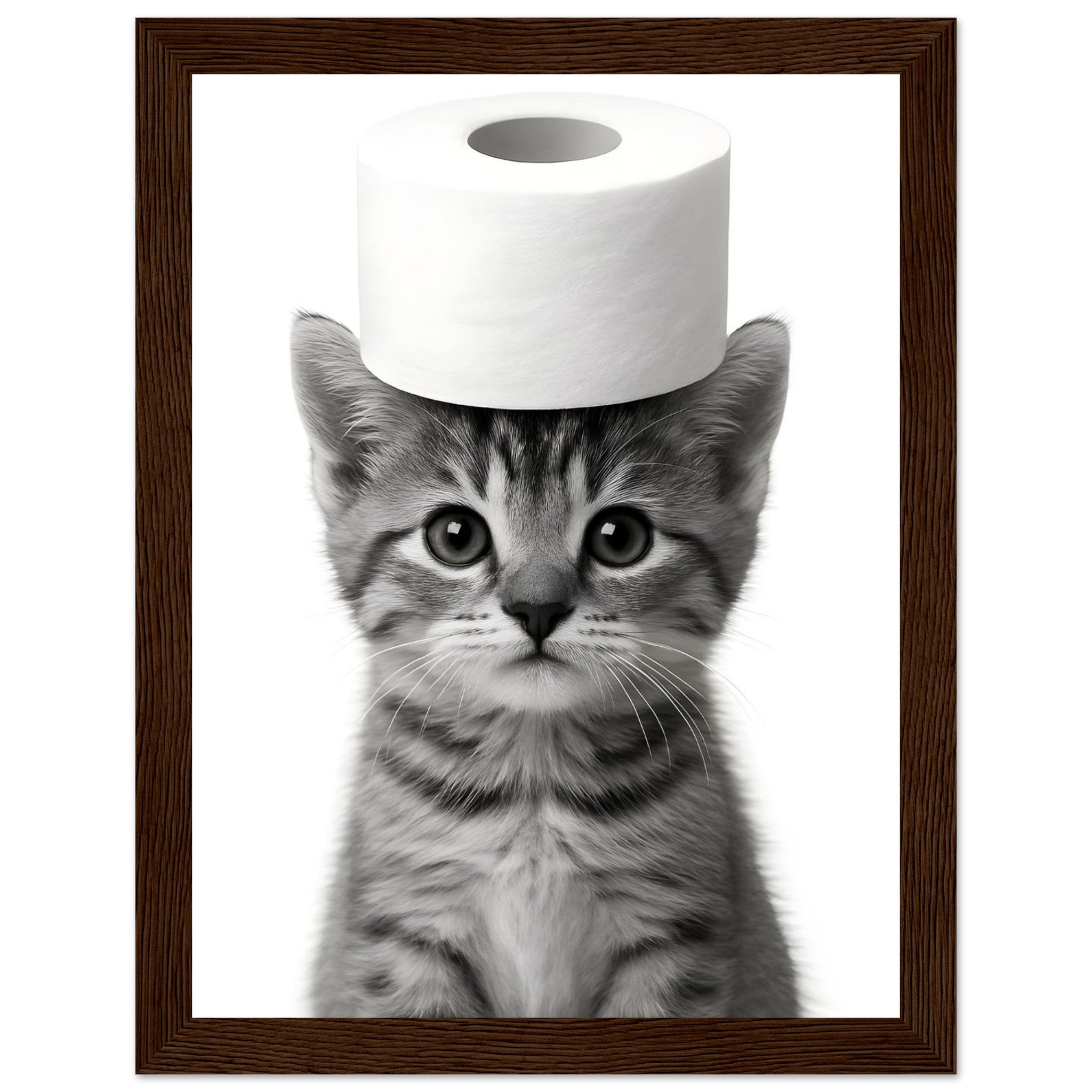 311013bf-ebe1-41a1-a5f2-cefee0ca80d1