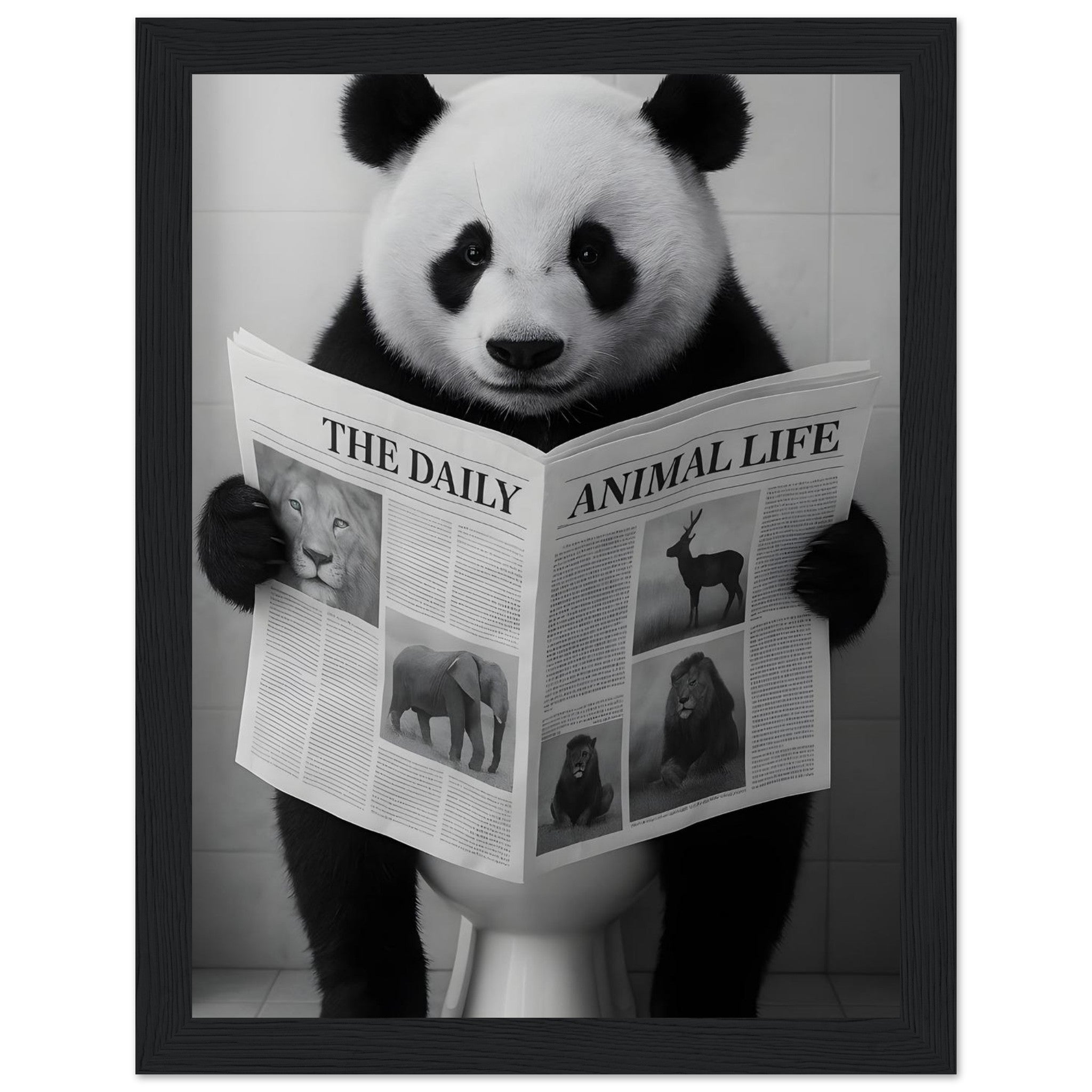 31731ba2-de93-48ef-9d62-2336aaa08b96