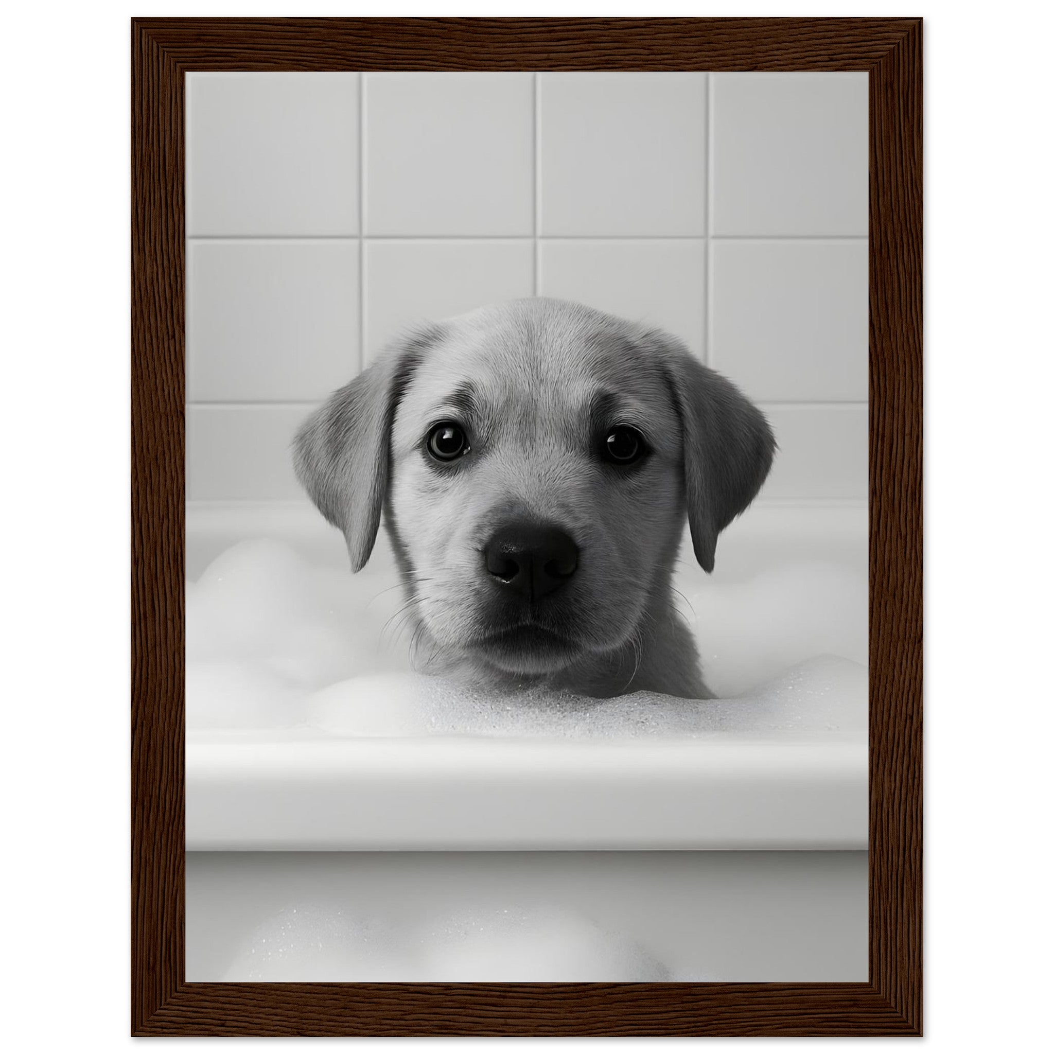 37c47eeb-56c1-45db-8c9c-4312c5438884