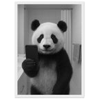 3b9429b4-f479-4c19-87bd-13dd57544bd8