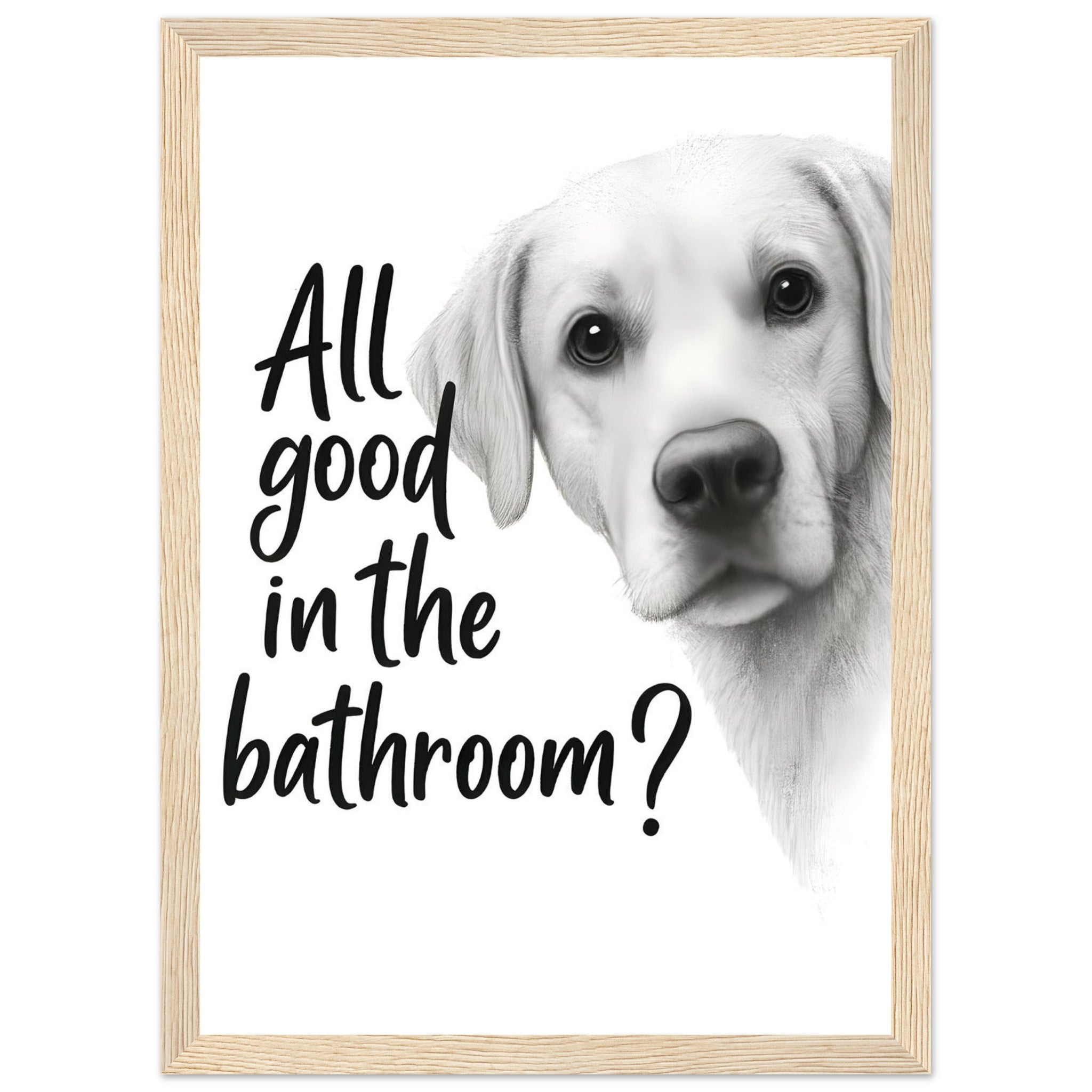 55d99c11-4a8c-4cfd-ba74-914cb0863e33