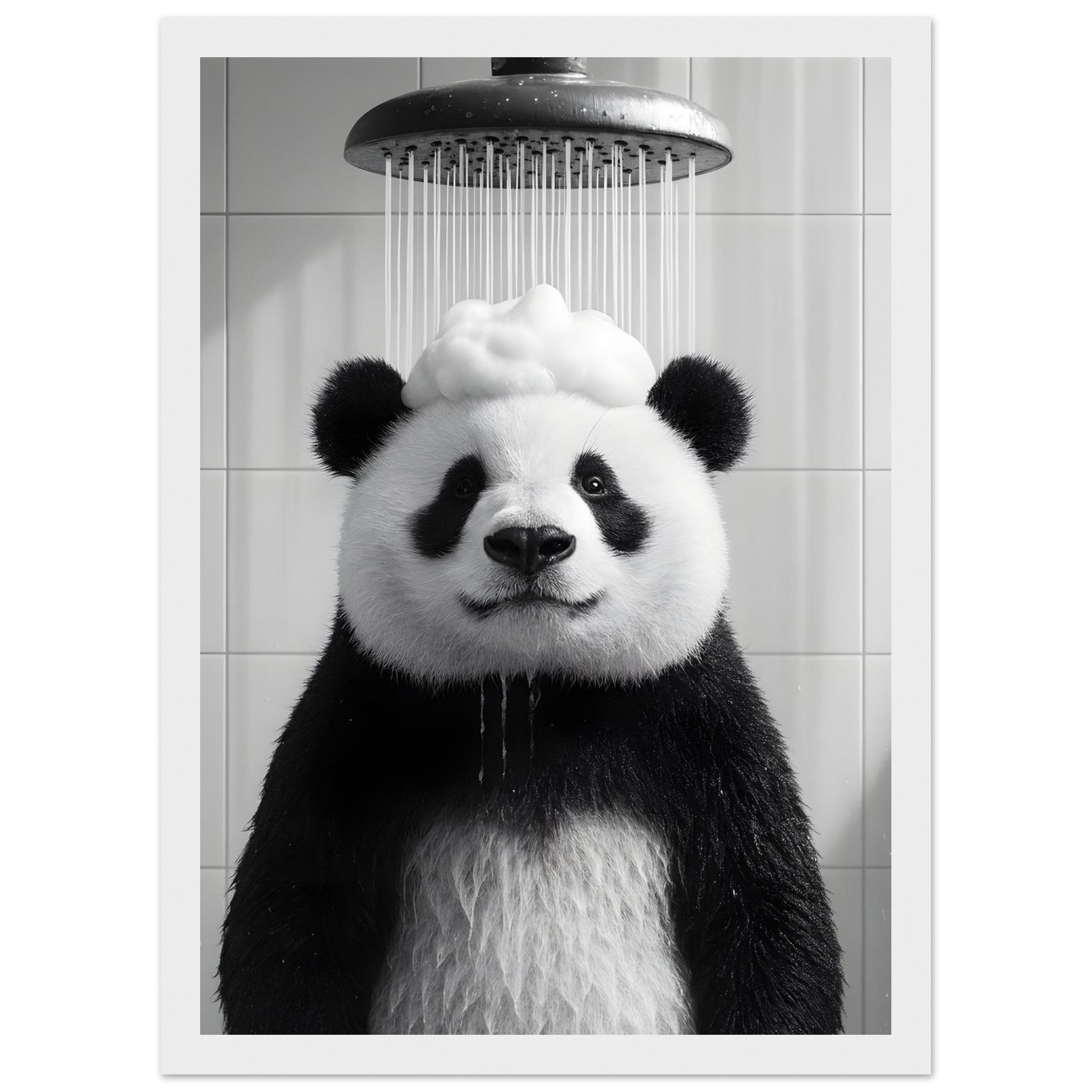 5681d792-4077-4e9f-b3a0-4d3a6b9ef55a