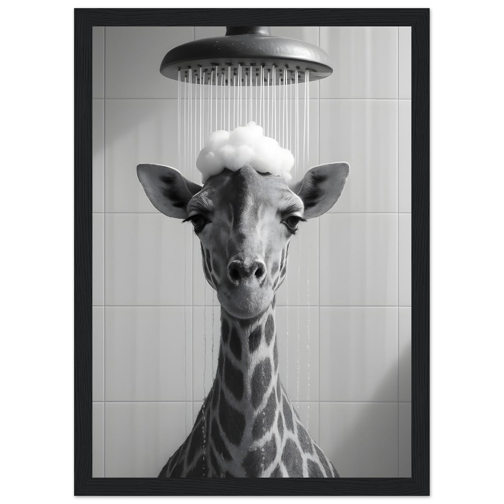 6604b6b1-f2b3-4926-bd72-cd8749a77d59