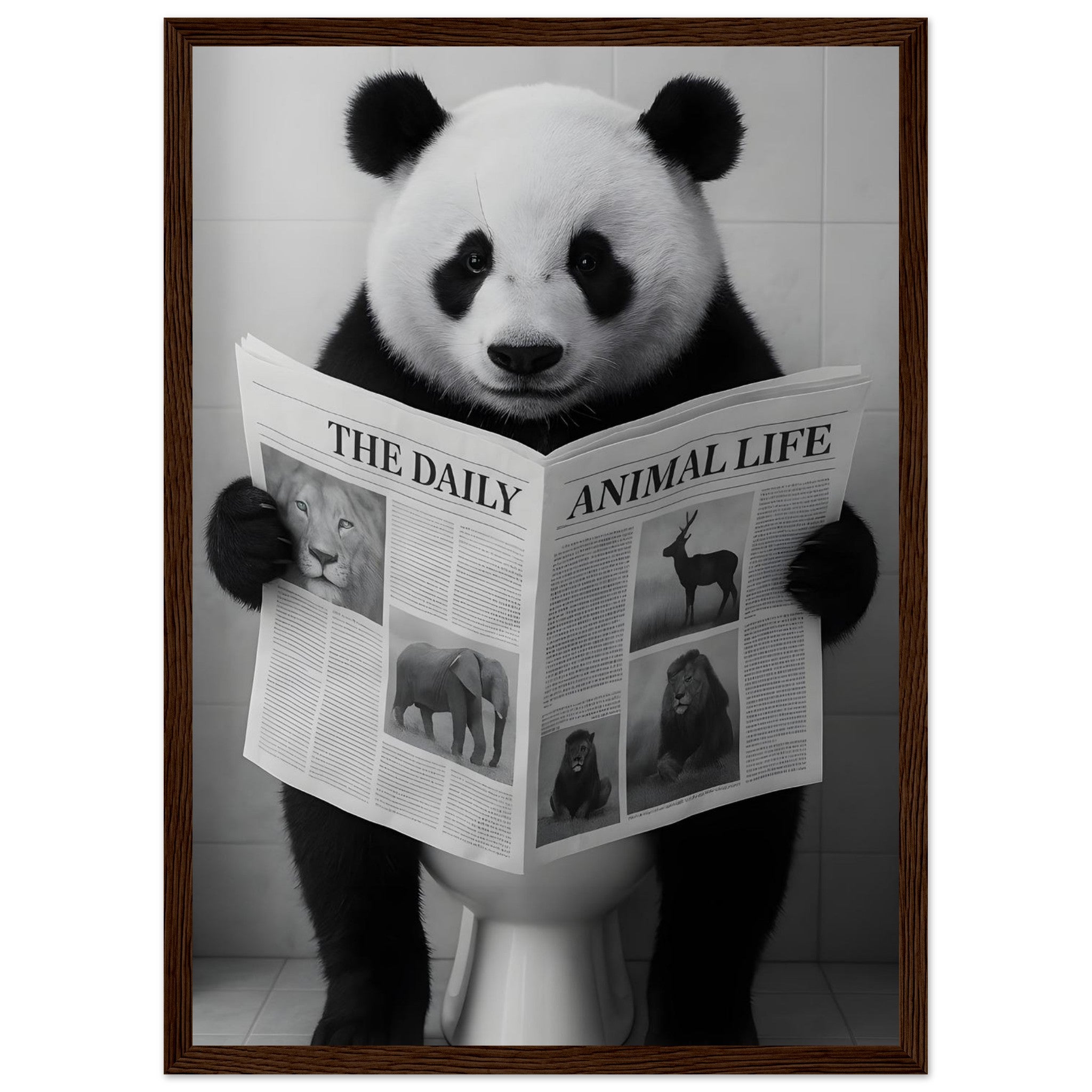 6fd1e6d5-2b2a-400f-93e4-3a81fd8a93c1