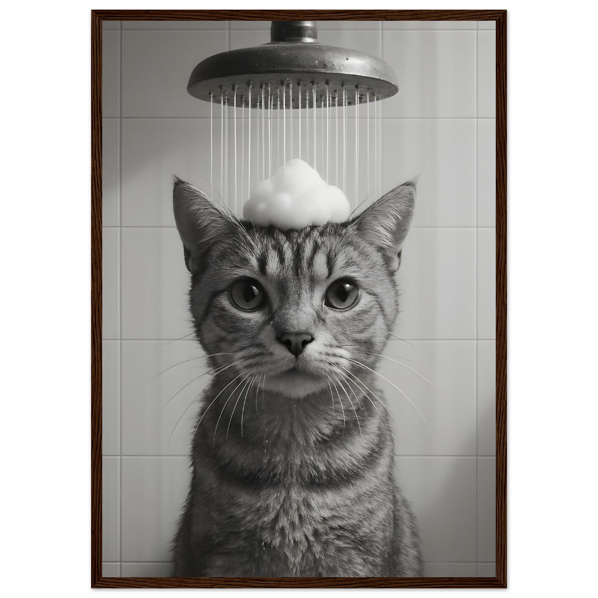 73976ed8-0f75-48f7-9907-fbfe8470ed63