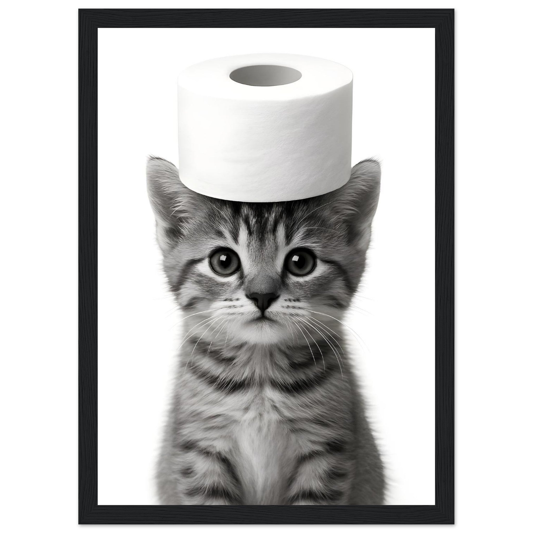 75e80df6-2055-4e03-a375-cf82a43710f5