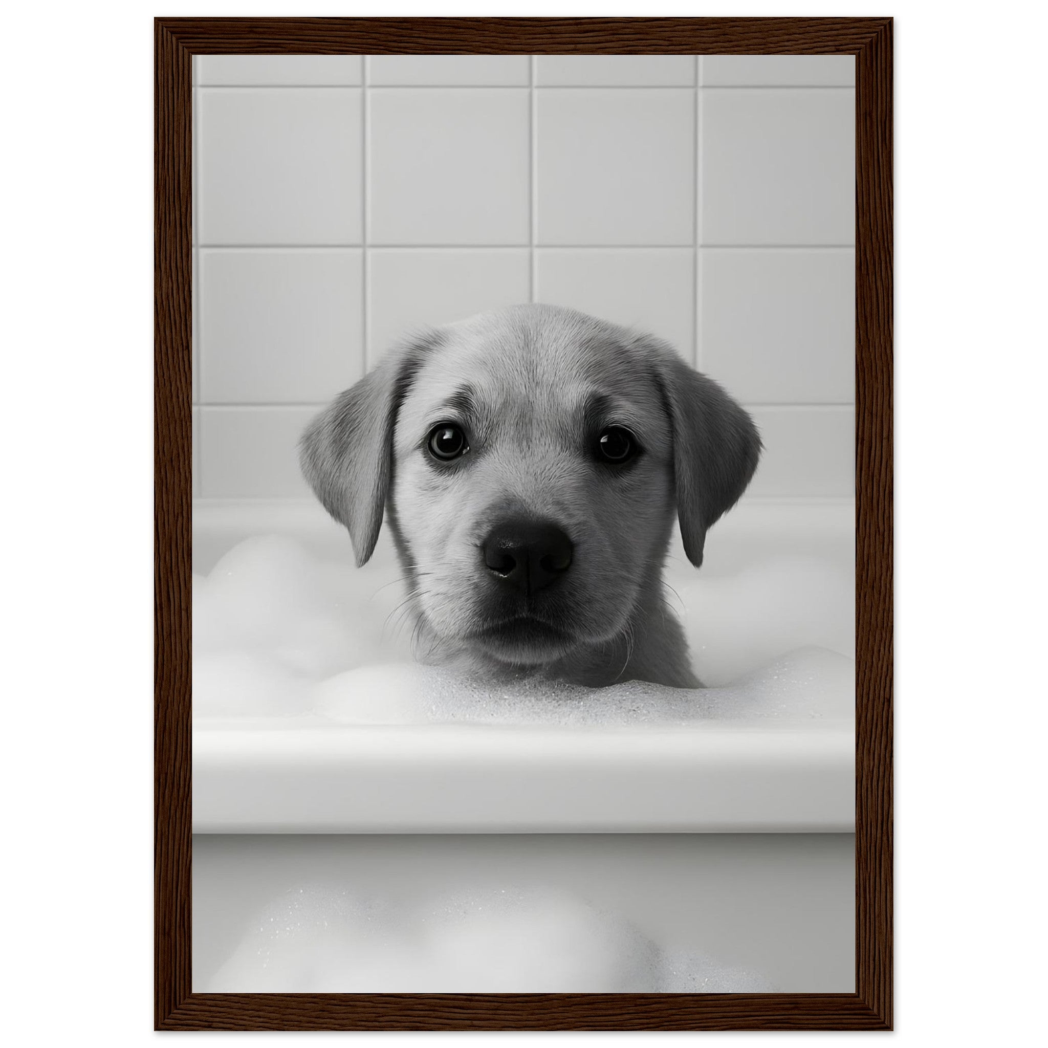 82611838-a016-4f0d-910d-4fa9ceac2be4