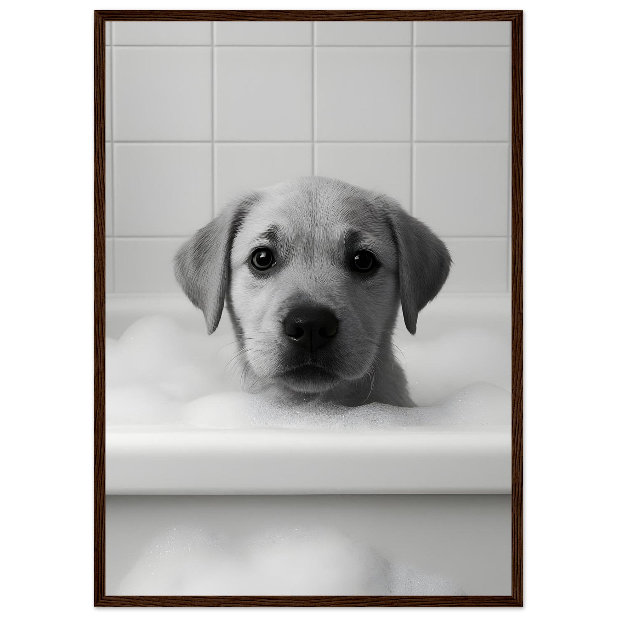 841ca578-9eab-45f8-b67f-e95280252ee5