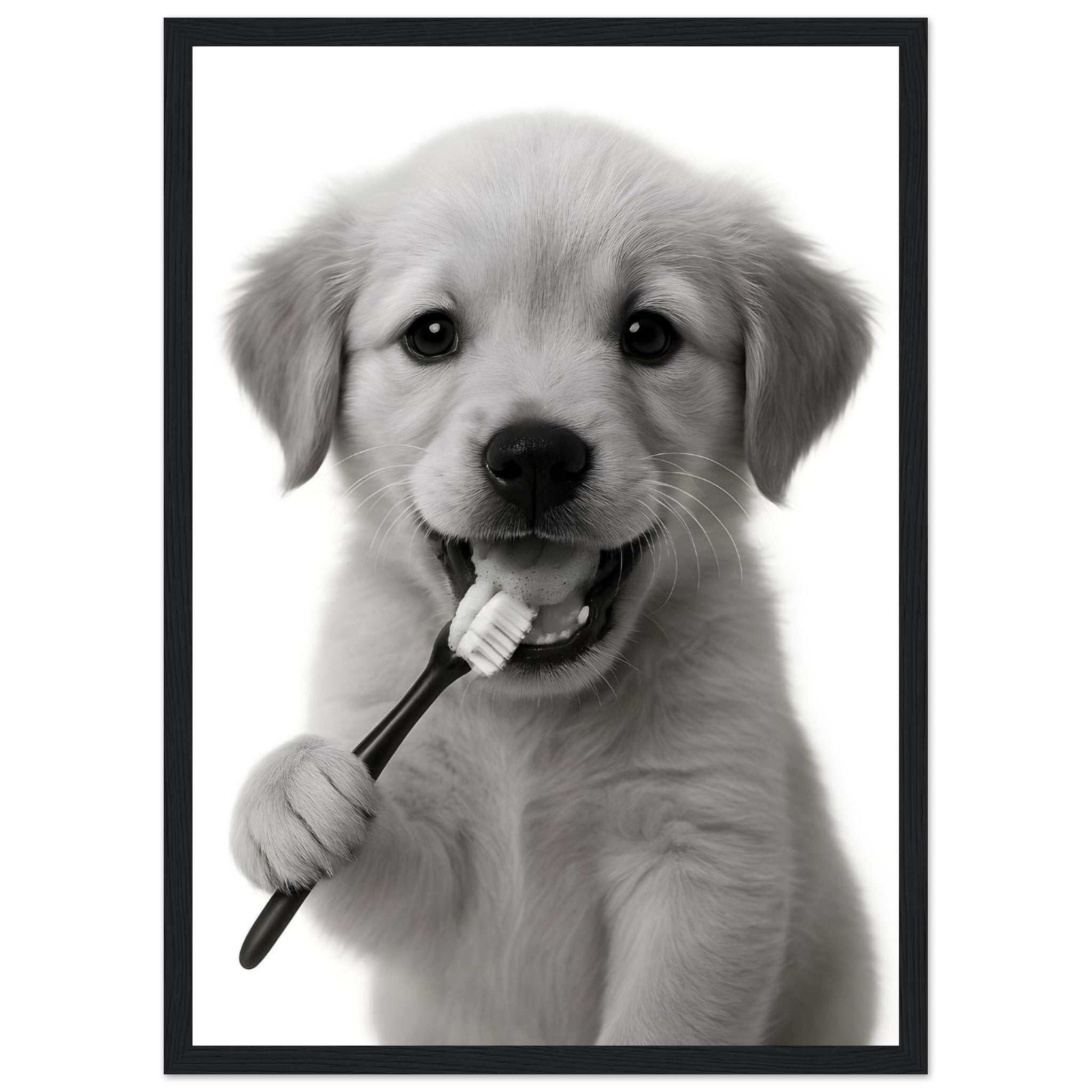 92e44337-0a69-4302-a1fb-e030ba6b9263