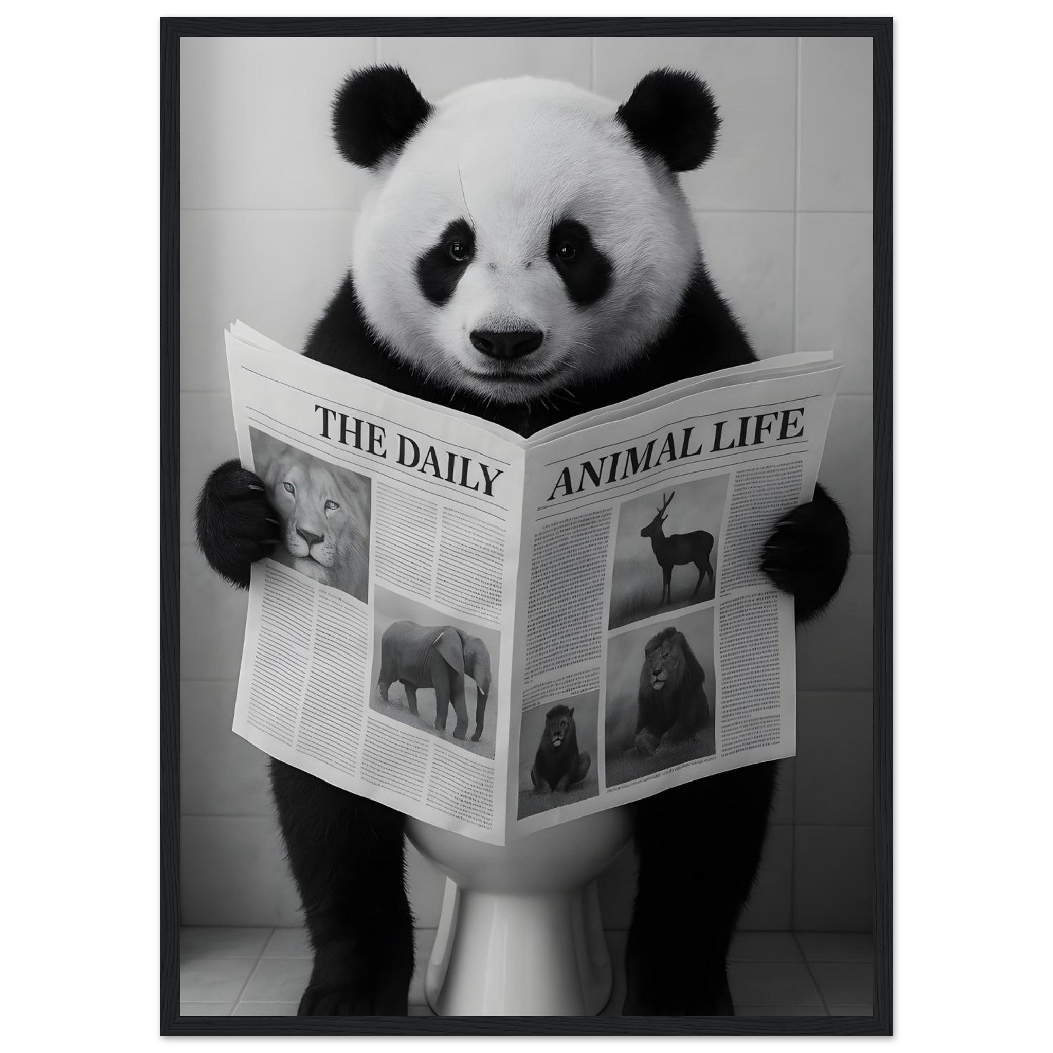 962dcfab-d1d0-4d66-9381-698bb0e3b2b8