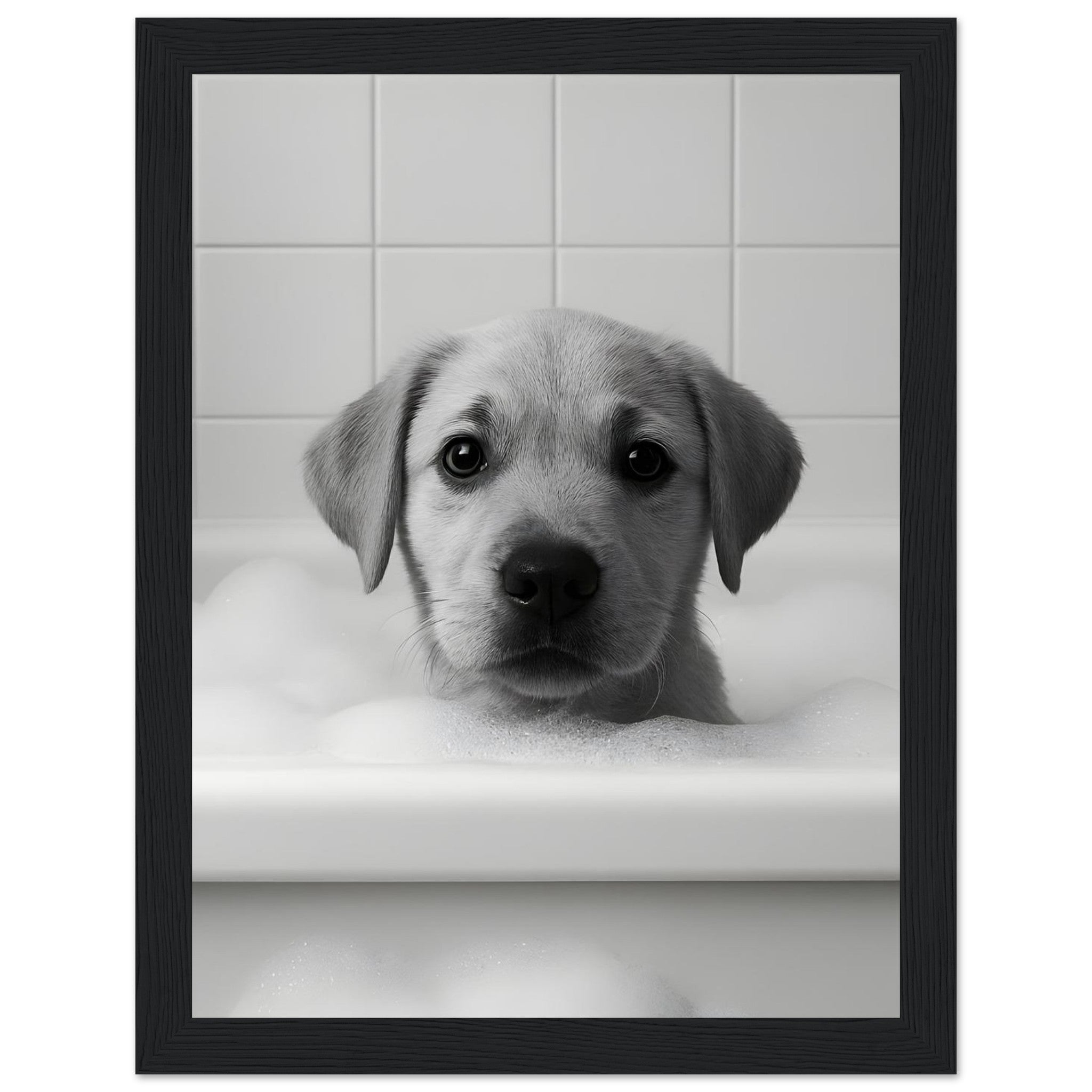 9ae481f1-9311-46cd-9fb9-edf217bc9b67