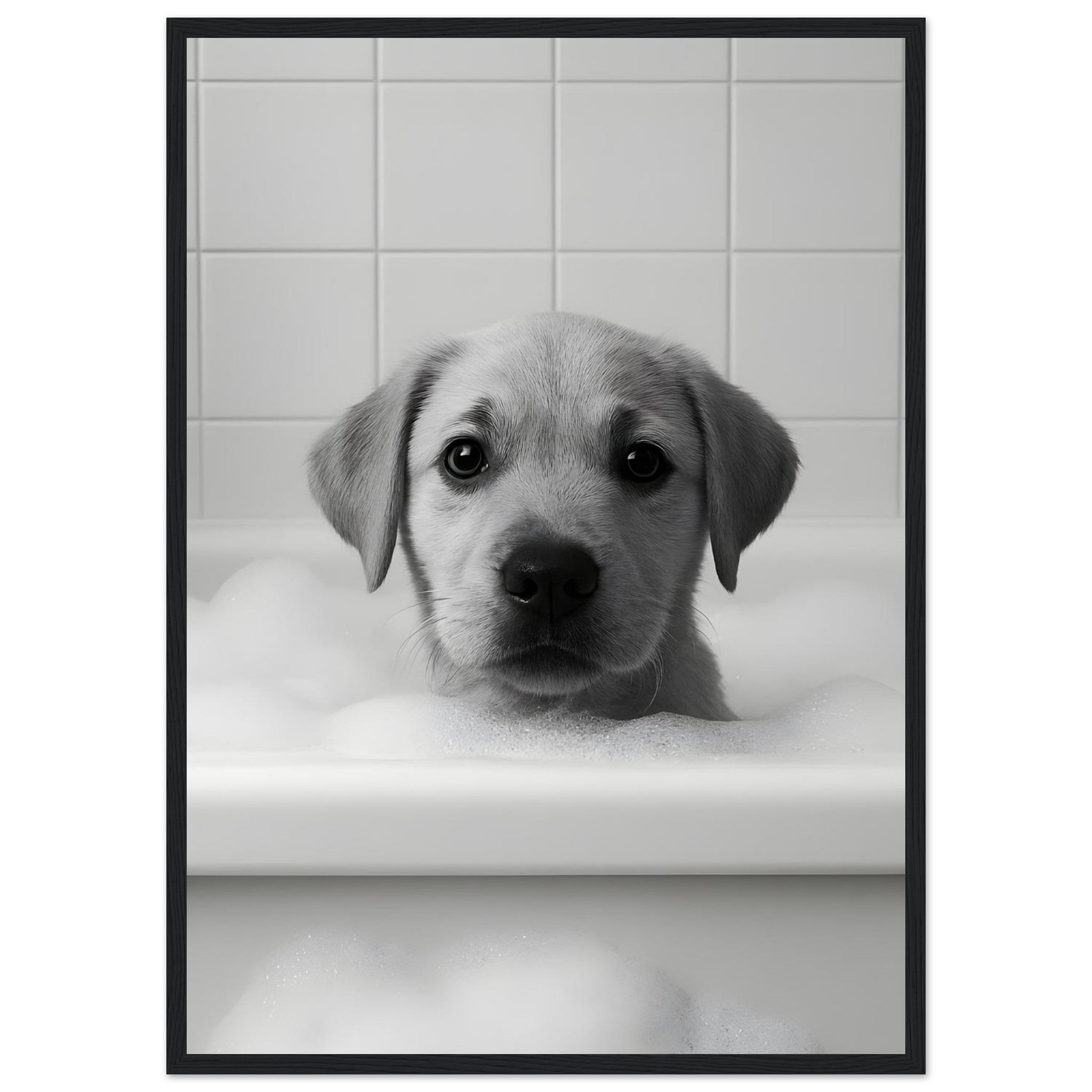 9e9f8331-80d1-46d9-a4c6-1196b162452b