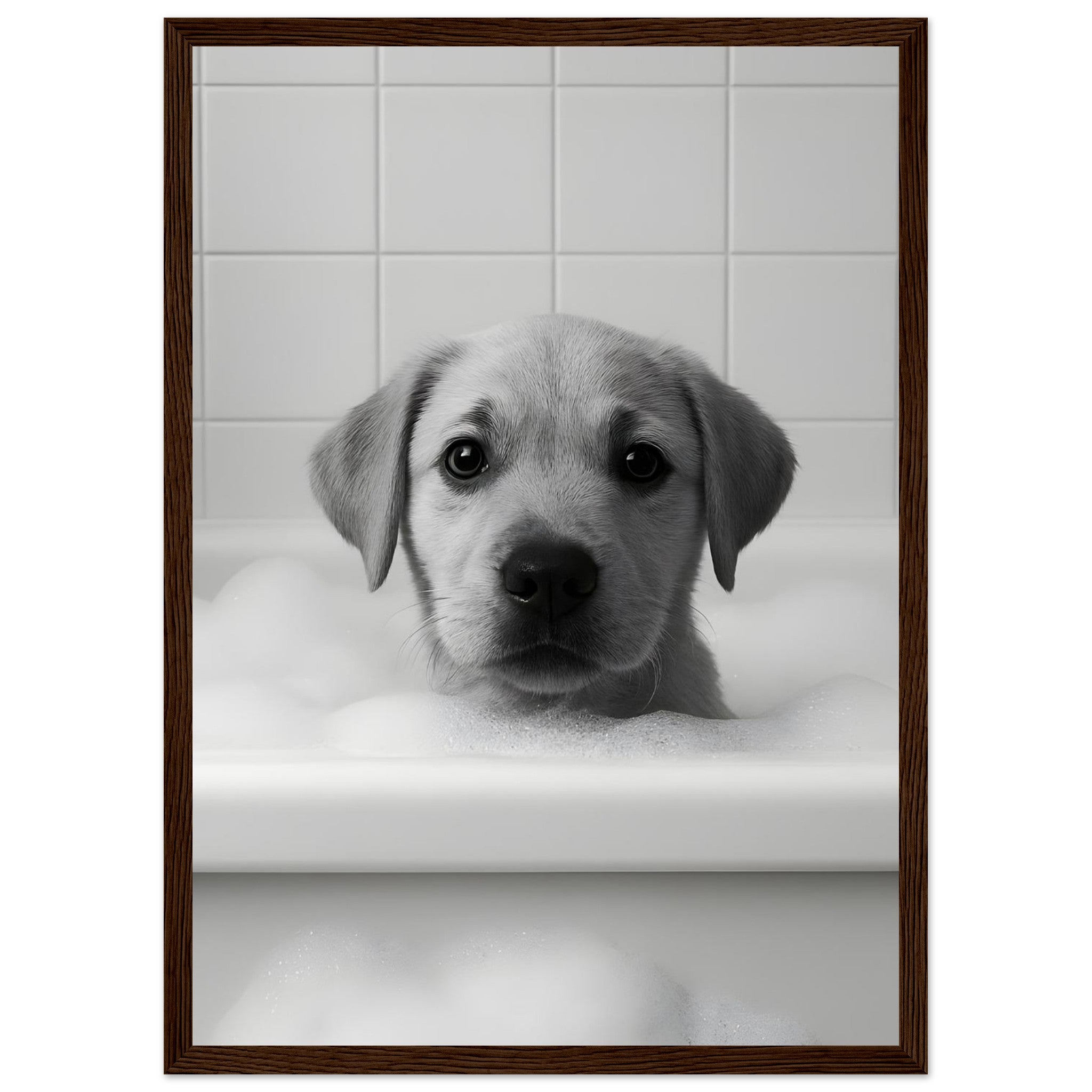 a0b77b0f-95e6-4549-9f80-a734dbe0b24f