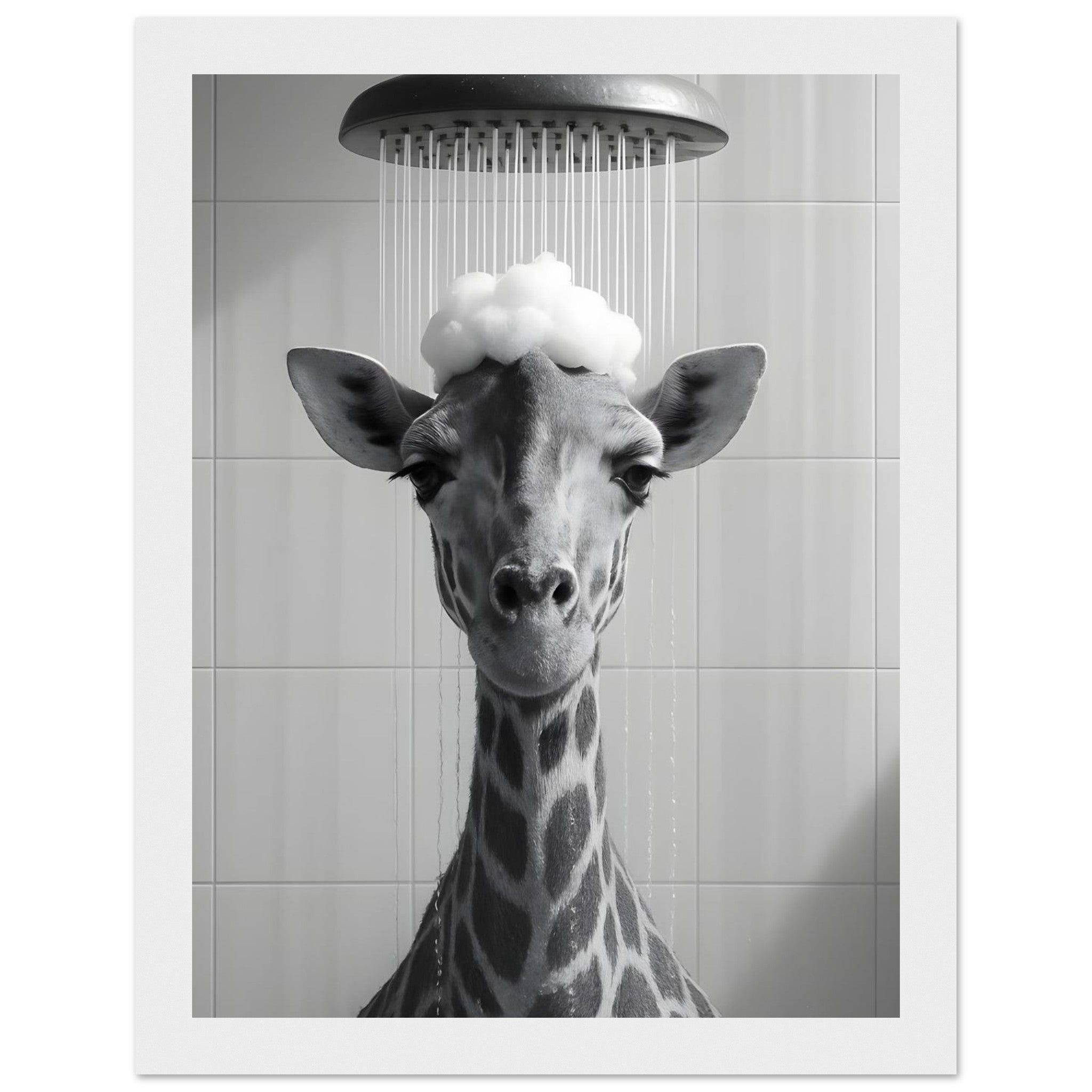 a712f1b7-d4f4-4ac3-a1c7-aaa905d568c5