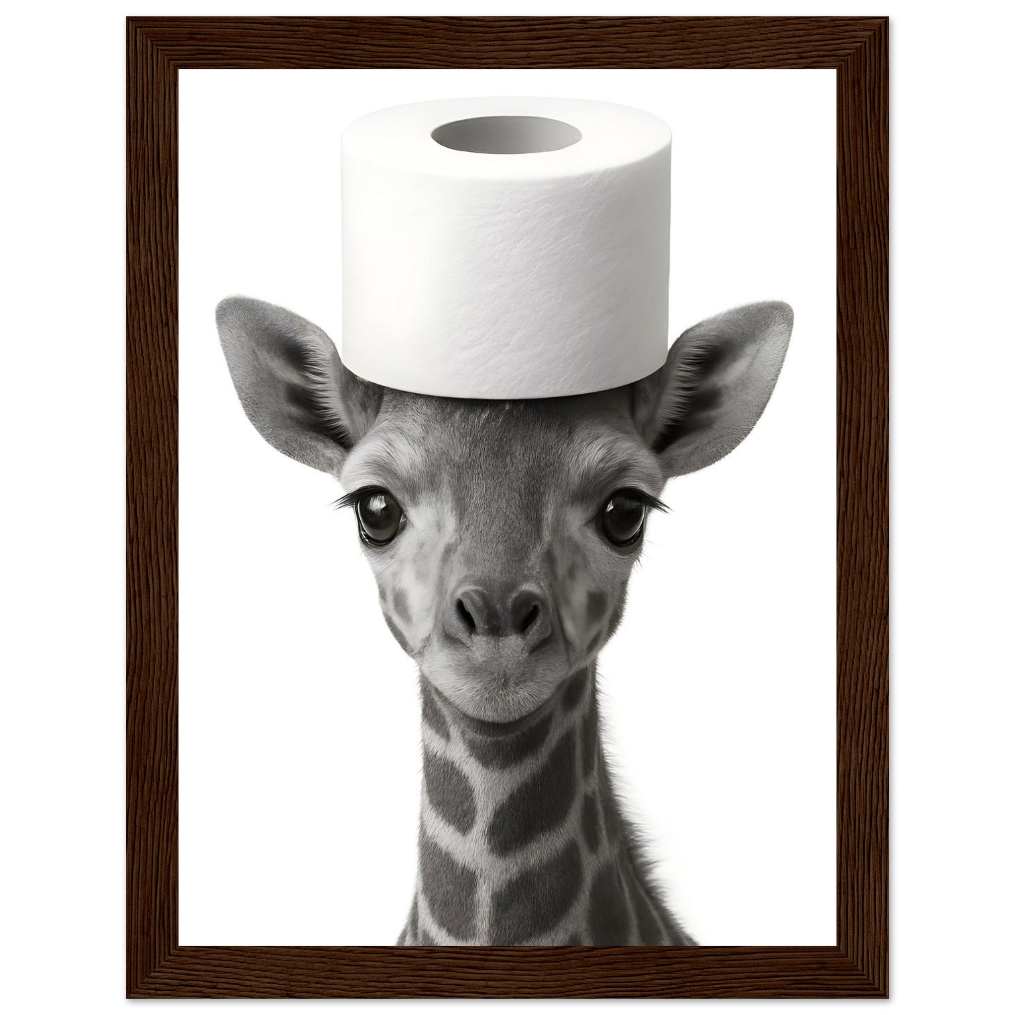 adc809bb-dfa0-475c-b2e8-e6d16820b00f