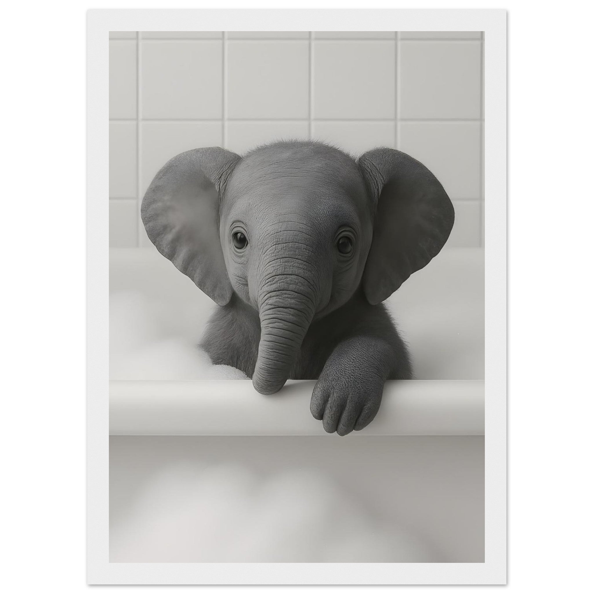 afe6b0d9-9d3a-42b4-893a-0cf056cd98e9