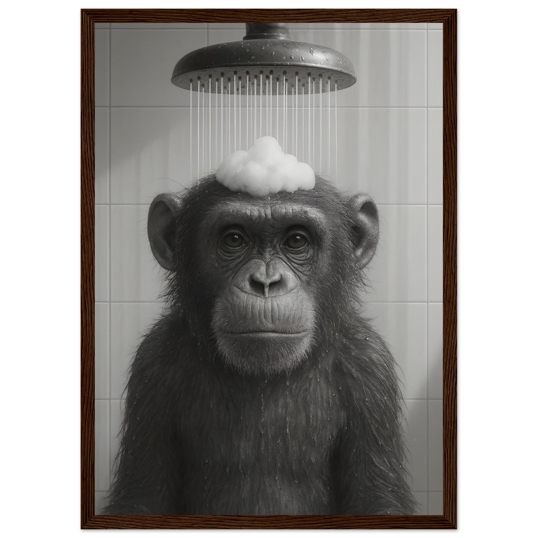 bad9adb9-aecb-4d49-b7ba-e180202b301d