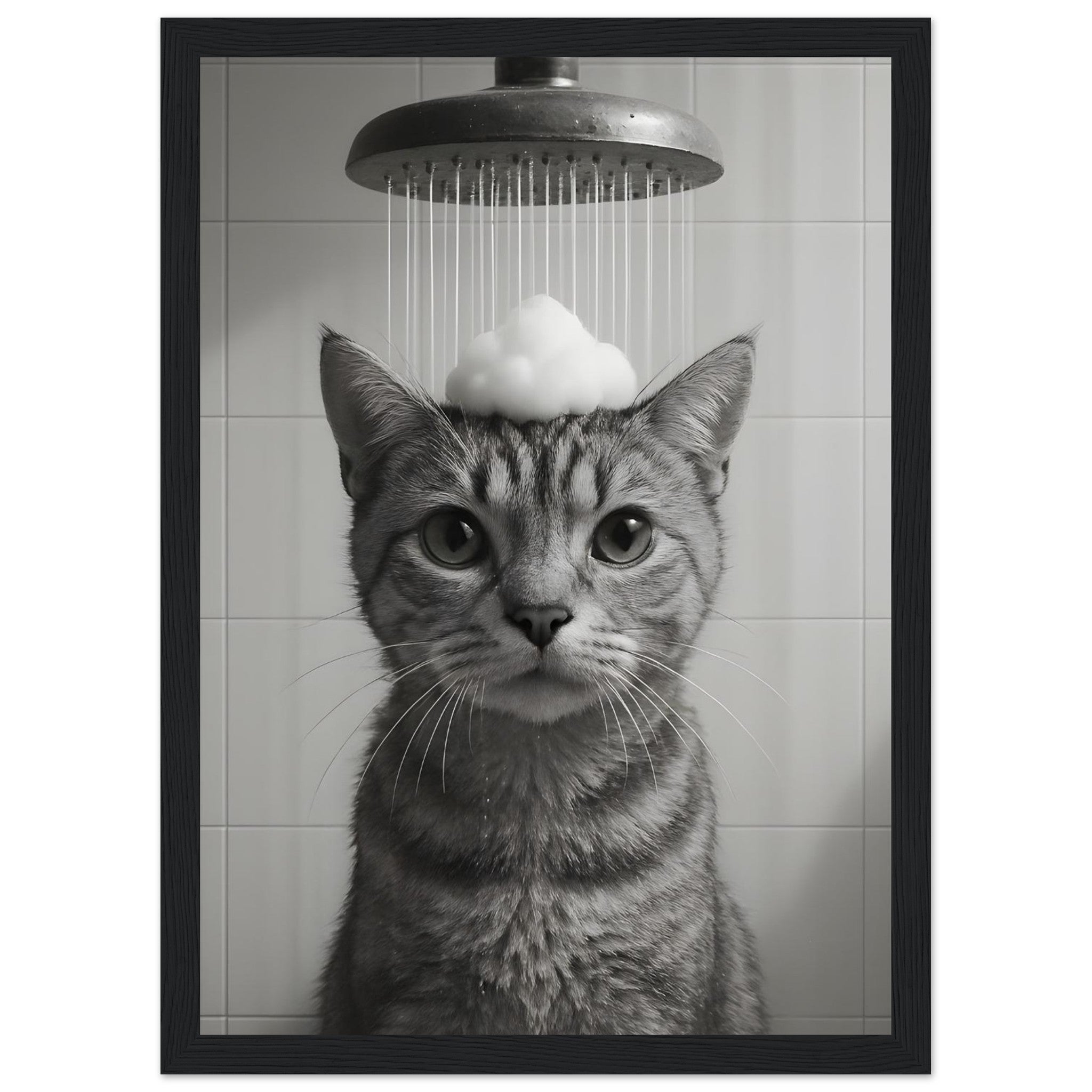 c1286d72-3b6f-473b-850b-9be72726e6bb