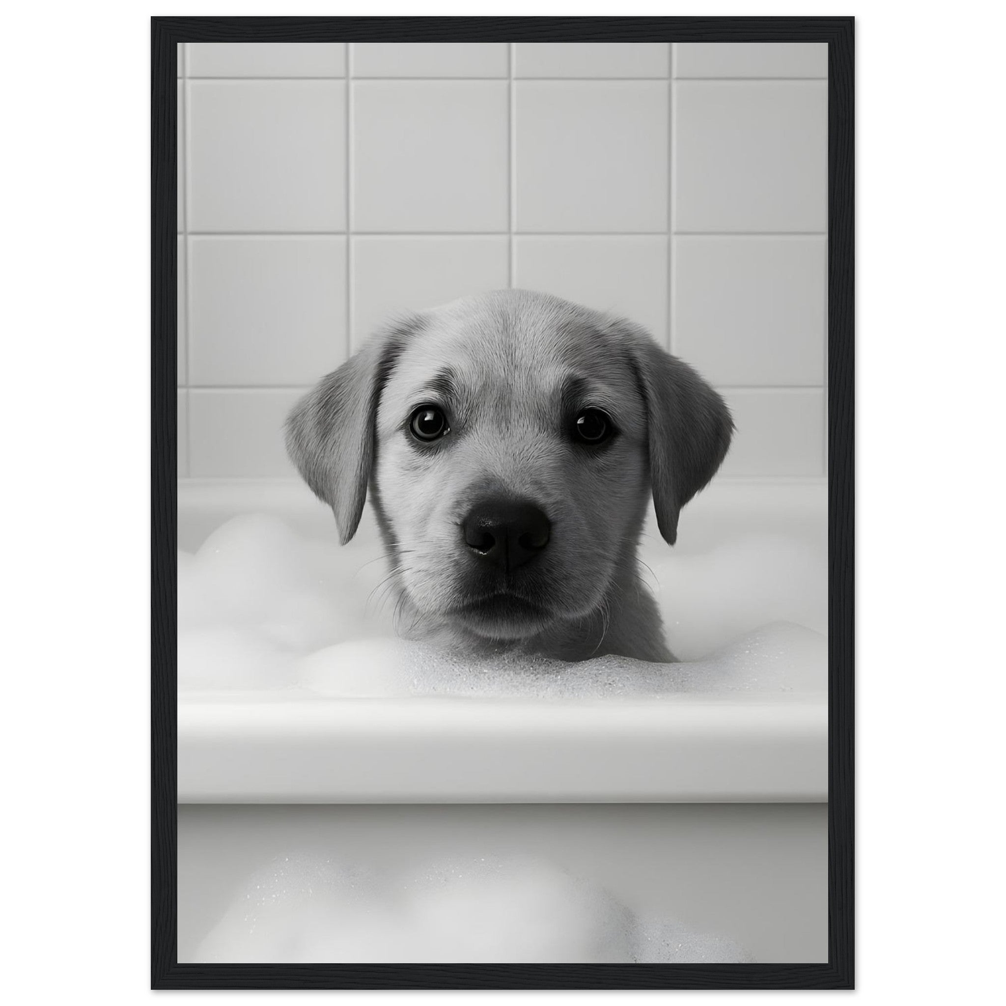 c93e008e-db50-42b0-9a0f-63b38d47c23b