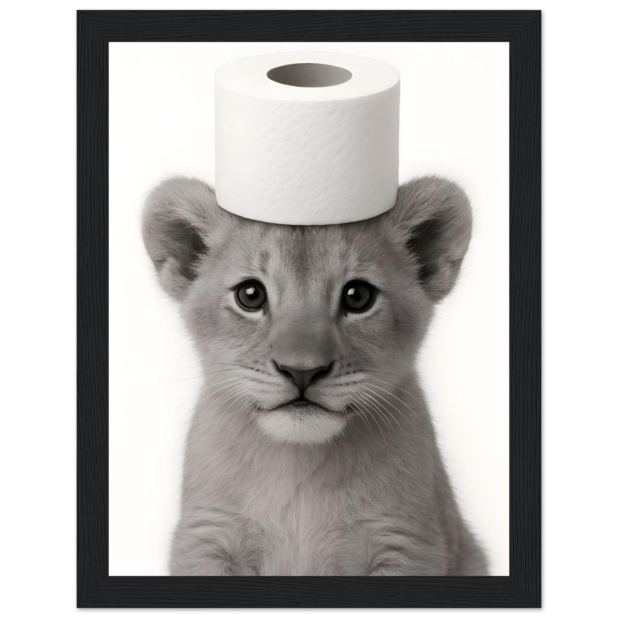 d843424b-fb2f-4337-81ae-04525bb708b3