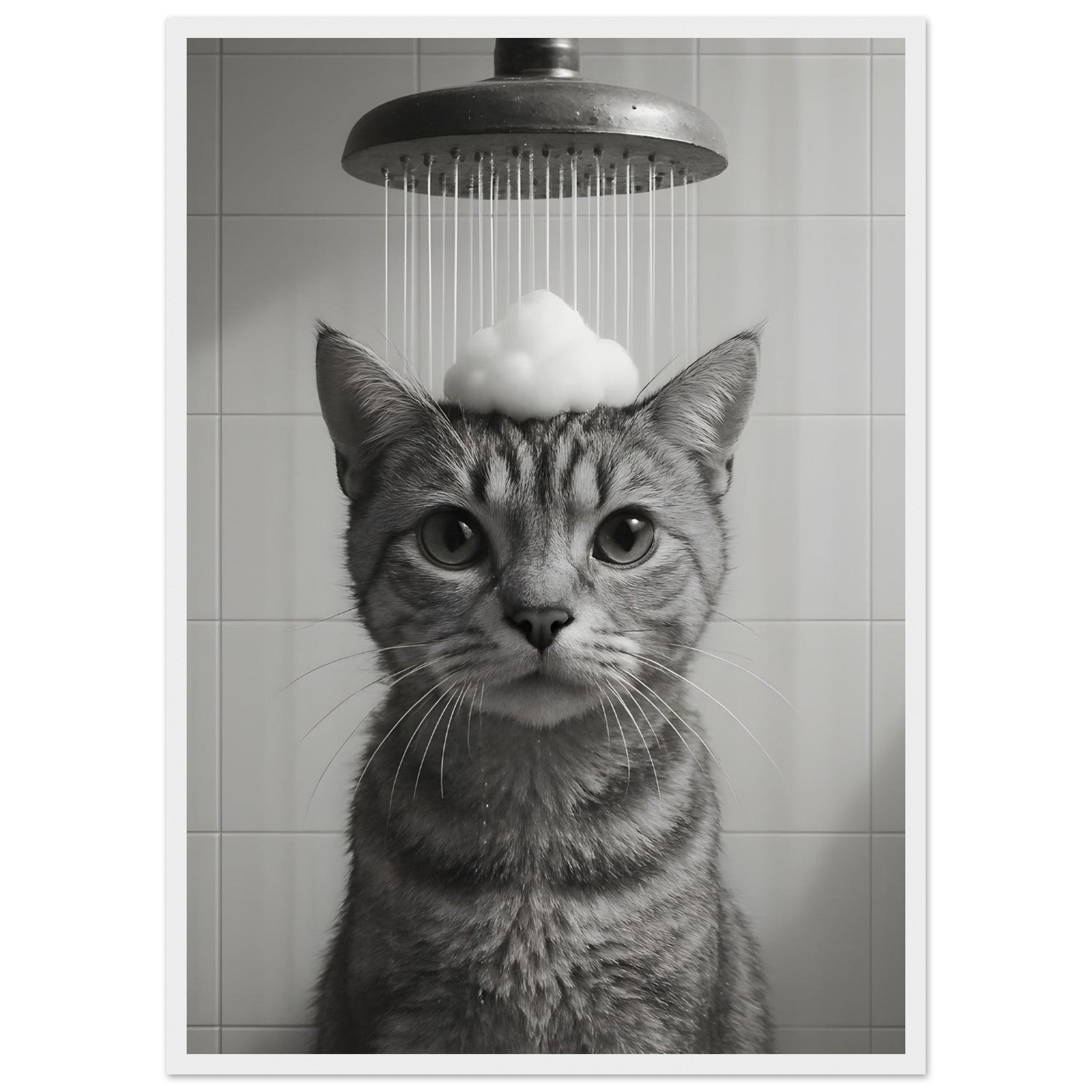 e2c74598-9d43-41ff-b7cd-8484cad24ada