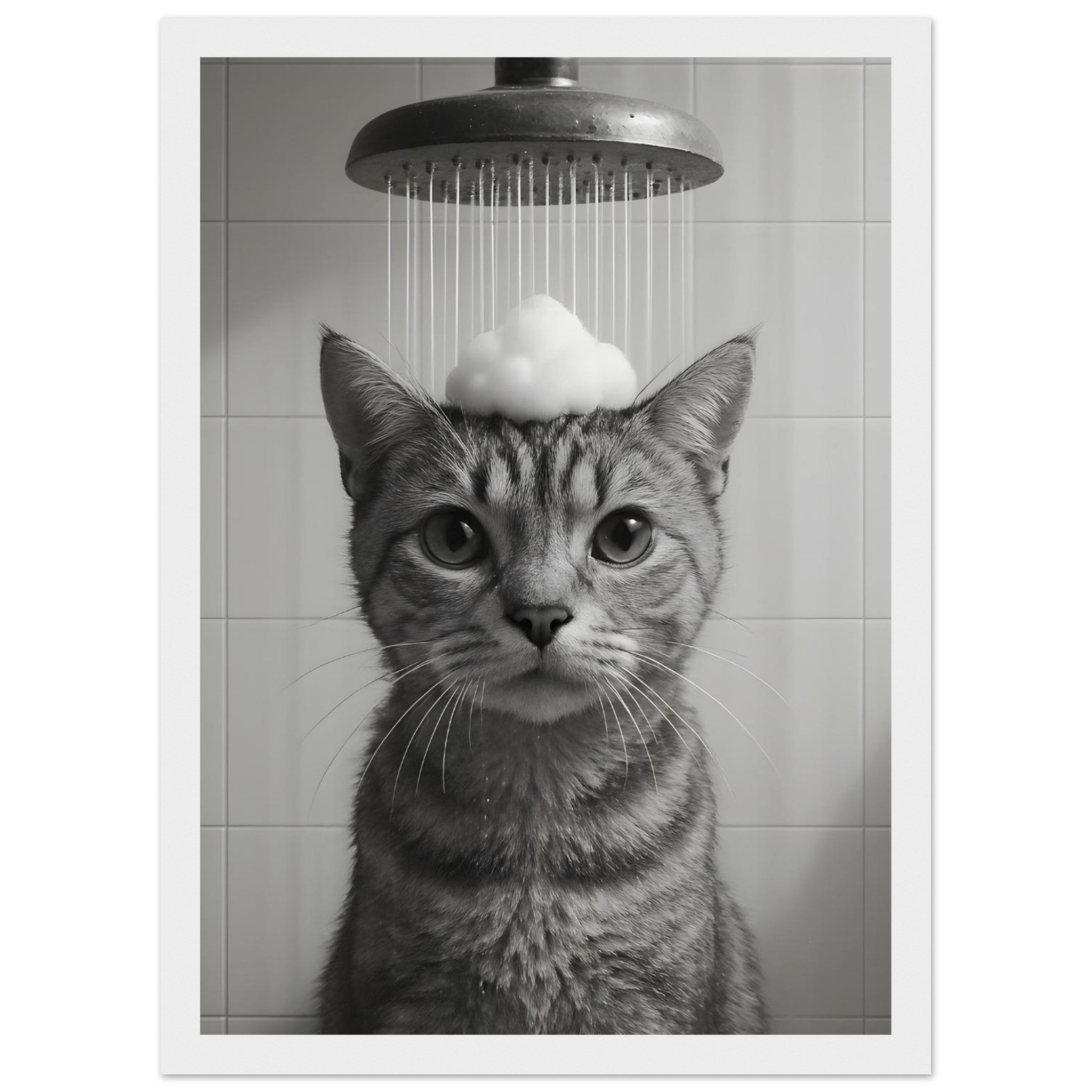 e6472bd5-9892-42ec-a934-39b3cf979094