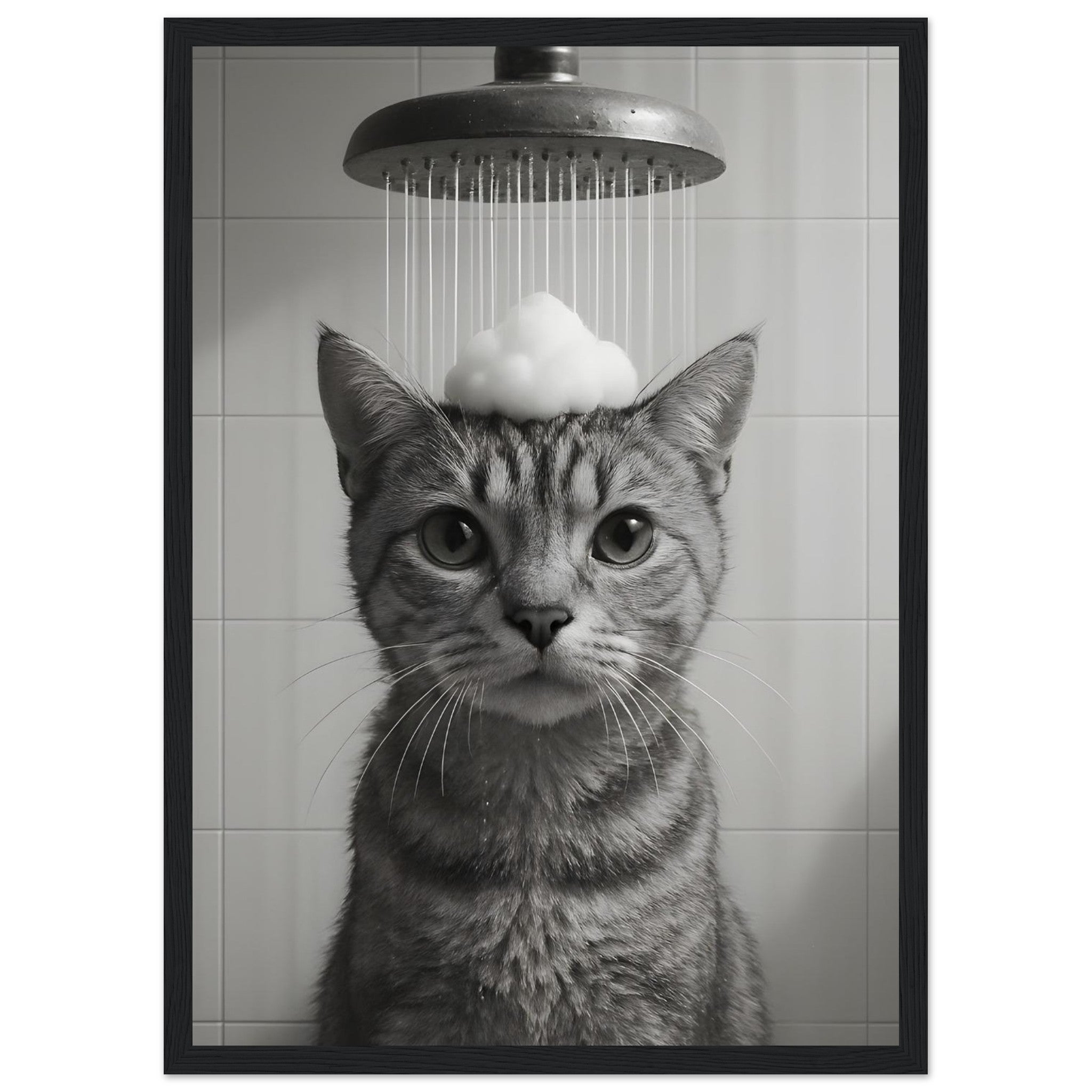 e788b6ec-fc4e-402d-9e55-4b08f9f09673