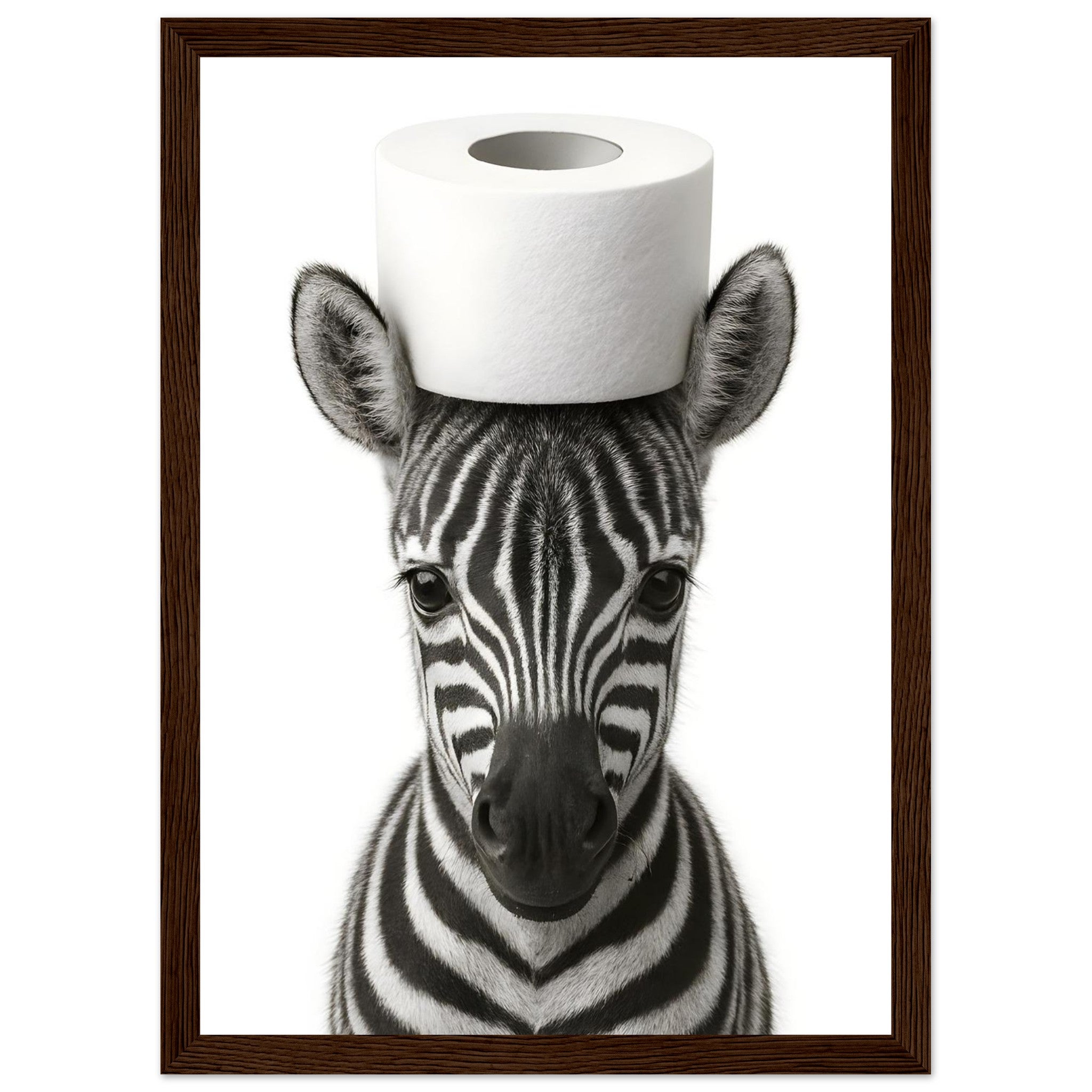 ecf62d15-a44e-4eca-8db2-2d474bc647ea