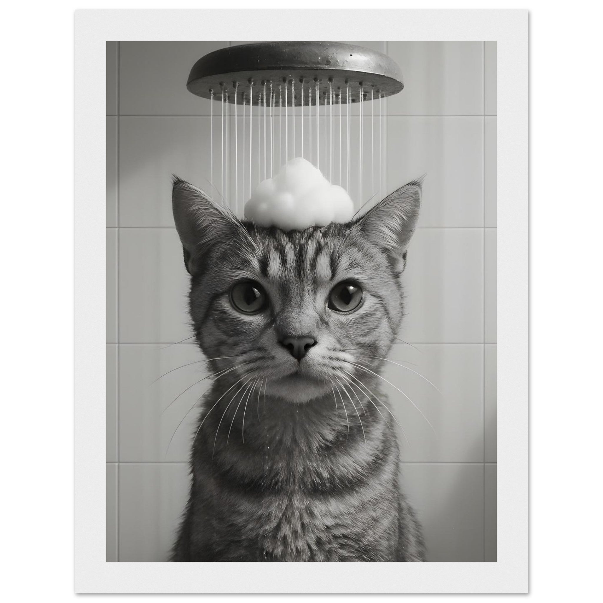 f86f0877-0630-466f-af3e-3ccc74fd7c80