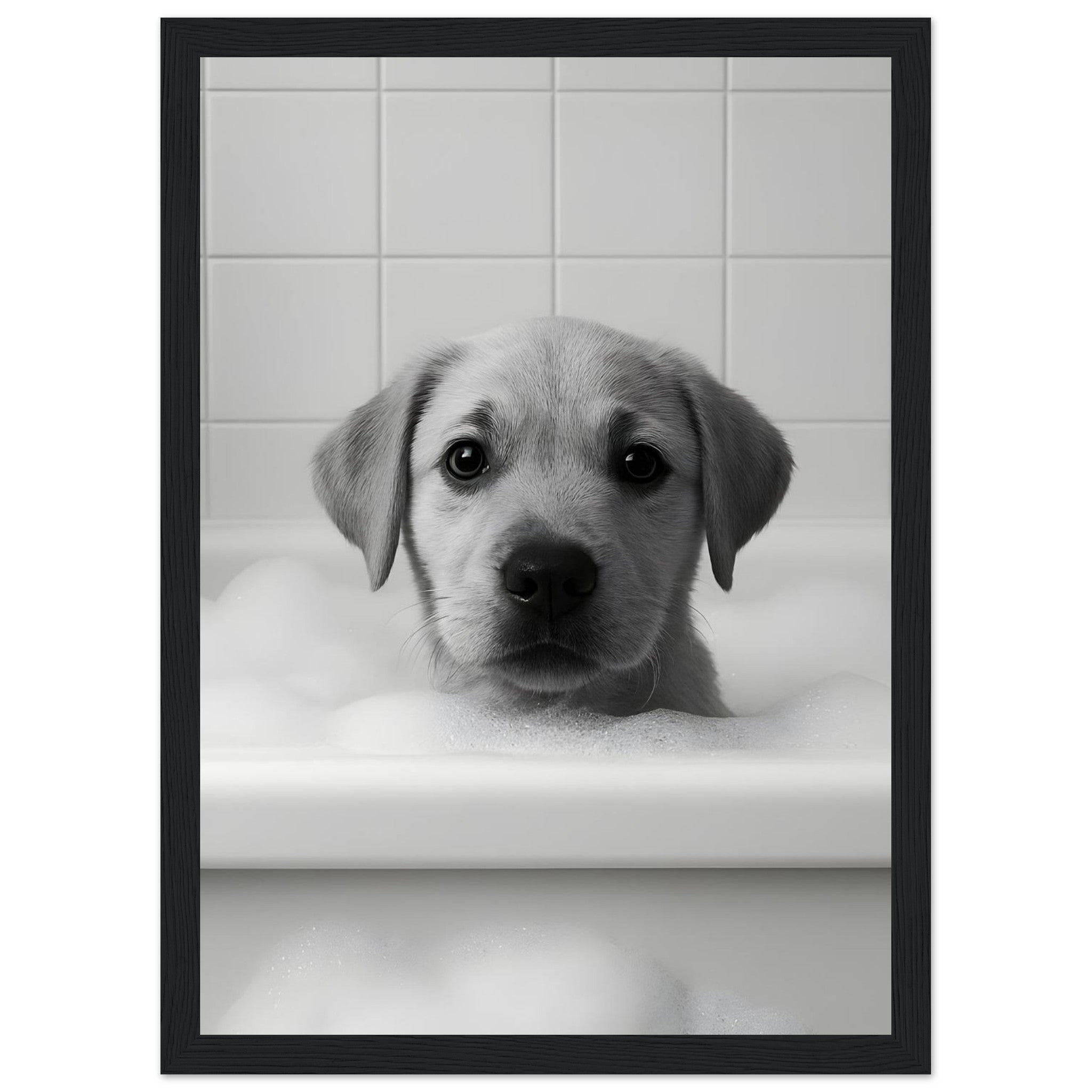 fc302685-0ce9-479a-ae59-e340c4324ad0