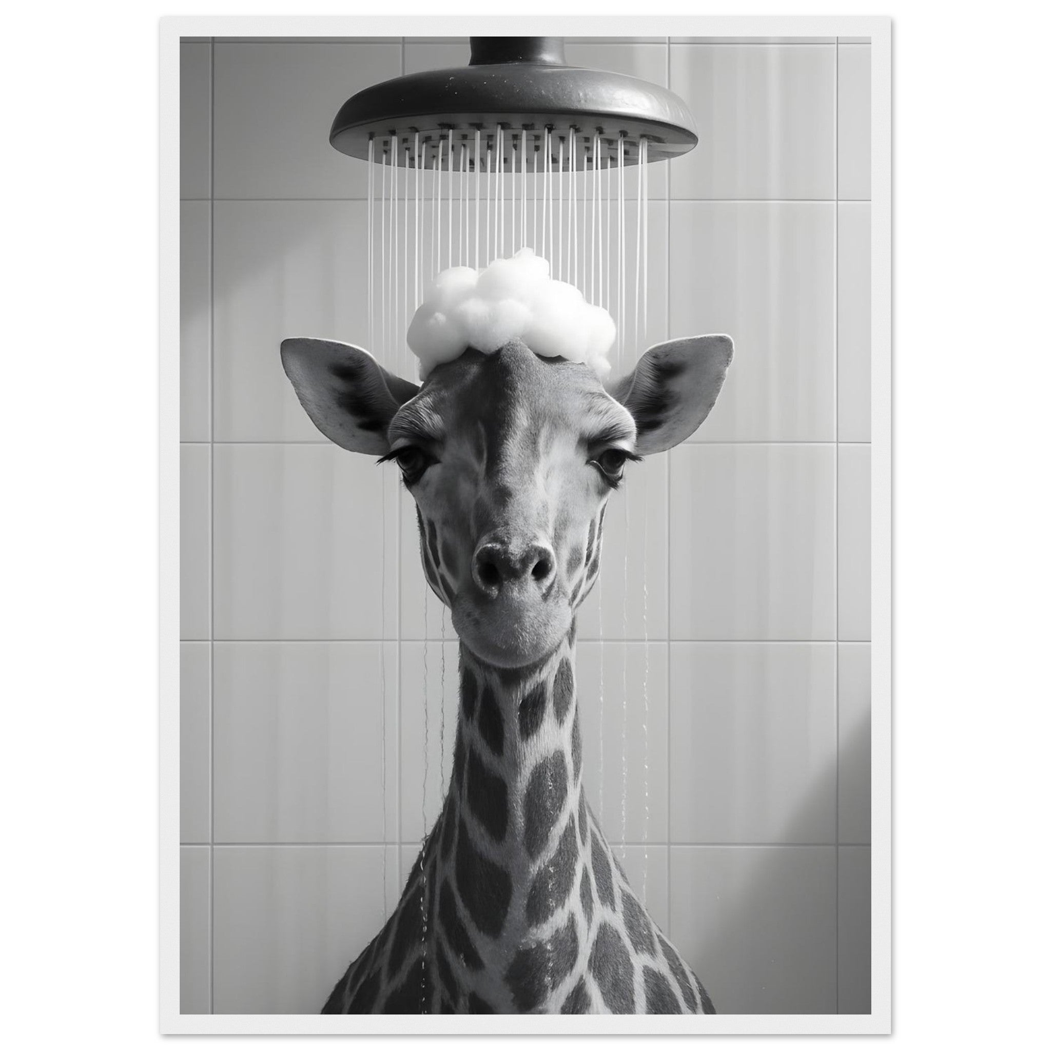 fcd50923-fa93-4d0c-8a17-28c6009cde3b