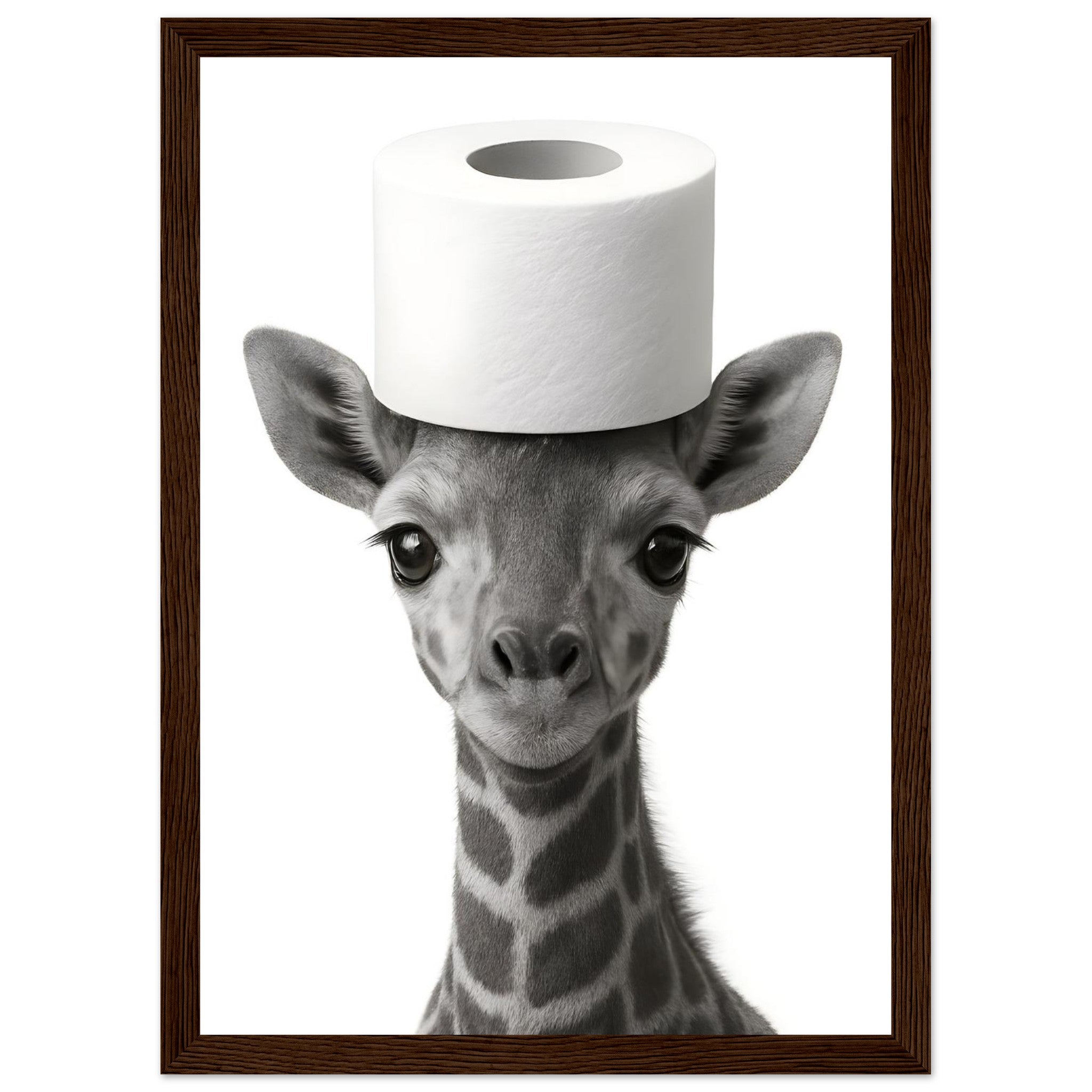 ffbc29f4-b5d5-4667-a442-9431f8aaa307